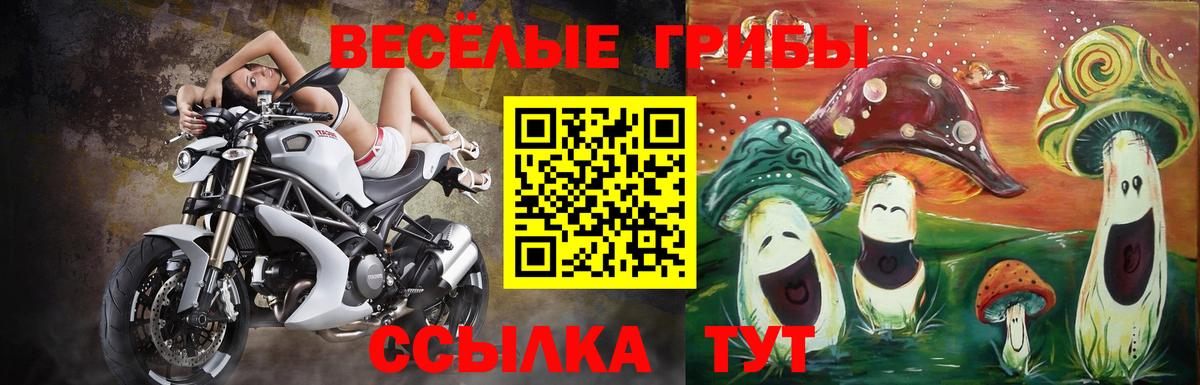 Галлюциногенные грибы Cubensis Артём